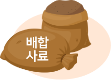 팝업 이미지